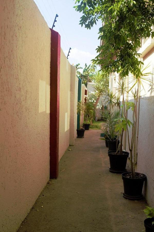 Houghton Guest House Joanesburgo Exterior foto